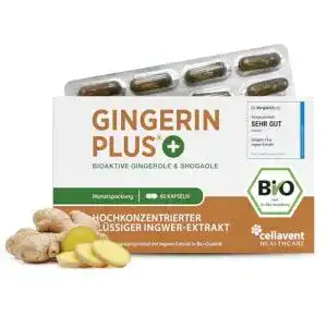 Ingwer Kapseln mit Bio Ingwer-Extrakt von Phytholistic