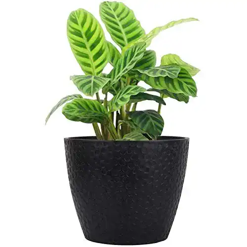 Blumentopf La Jolíe Muse 24 cm für Innen- und Außenbereich