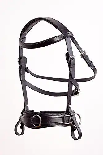 Kappzaum Crownclub Royal Comfort Black für Warmblut WB FULL
