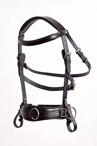 Kappzaum Crownclub Royal Comfort Black für Warmblut WB FULL