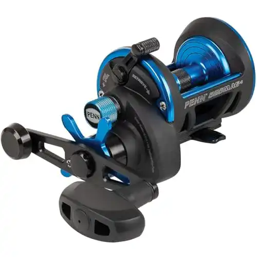 Penn Mag4 Star Drag 515 Baitcaster Multirolle für Meeresfischen