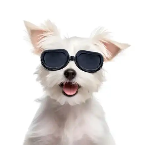 Hundebrille Namsan für Hunde mit UV-Schutz und verstellbarem Gurt
