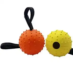 Hundespielzeug Vivifying Hundeball auf Seil, 2er-Set