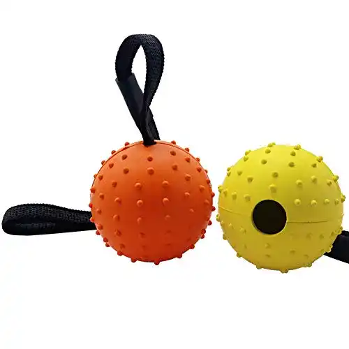 Hundespielzeug Vivifying Hundeball auf Seil, 2er-Set