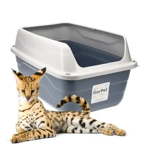 GarPet XXL Katzentoilette mit offenem Design für große Katzen