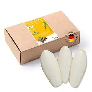 Sepiaschalen Tamay Premium 25 Stück für Reptilien und Vögel