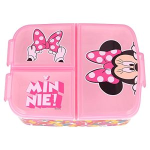 Lunchbox für Kinder mit Minnie Mouse Motiv, Sandwich Box für die Schule