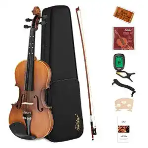 Eastar 4/4 Violinenset mit Hartschalenkoffer und Zubehör