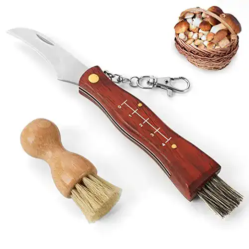 Pilzmesser GVDV mit Bürste und Lineal für Champignons und Trüffel