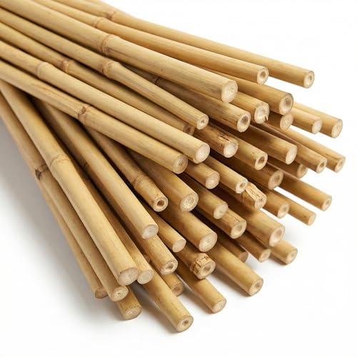Bambusstäbe Bellissa 90 cm 50er Set als Rankhilfe für Pflanzen