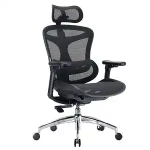 Sihoo Doro C300 Ergonomischer Bürostuhl mit 3D-Armlehnen und Lendenstütze
