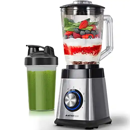 Standmixer Glas Anthter CY-305R 1000W für Smoothies und Shakes