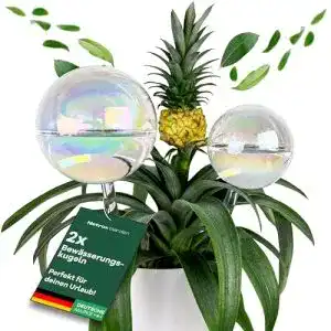 Bewässerungskugel Netrox 2er Set aus Glas 400ml und 180ml