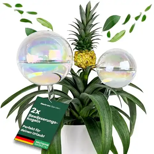 Bewässerungskugel Netrox 2er Set aus Glas 400ml und 180ml