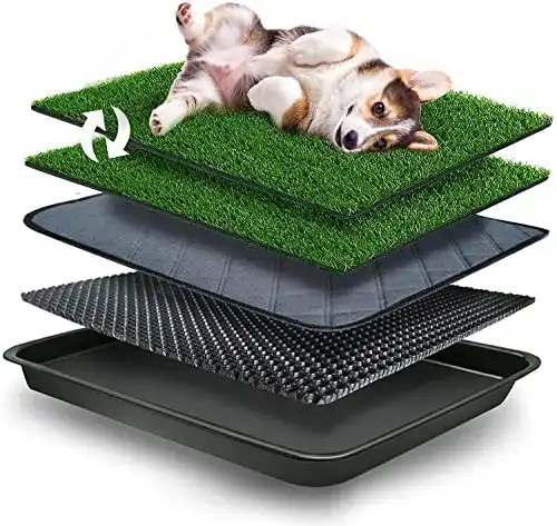 Hundetoilette GoldOuya 50×60 cm Kunstrasen für kleine Hunde