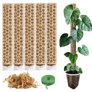 Moosstab für Monstera und Kletterpflanzen Zubehör Set mit 5 Pflanzstäben