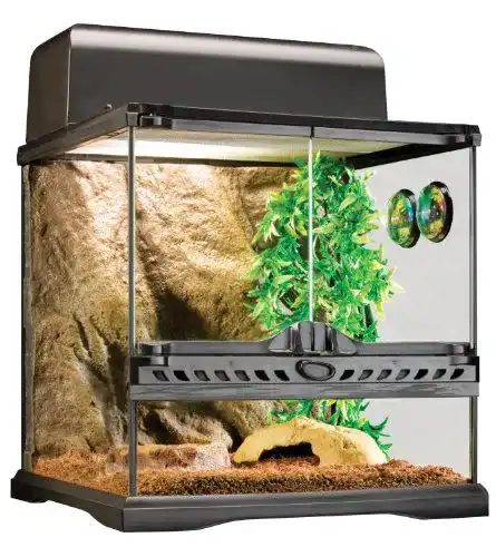 Terrarium Exo Terra Terraristik Starter-Set für Wirbellose, klein