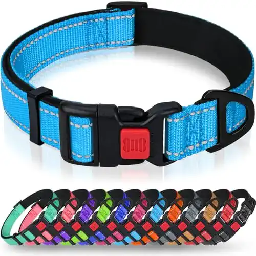 Hundehalsband Taglory aus Neopren und Nylon für kleine Hunde