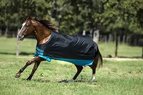 Winterdecke Pferd Amigo Horseware Mio Turnout Medium – Funktionalität und Qualität