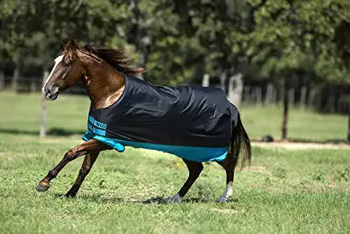 Winterdecke Pferd Amigo Horseware Mio Turnout Medium – Funktionalität und Qualität