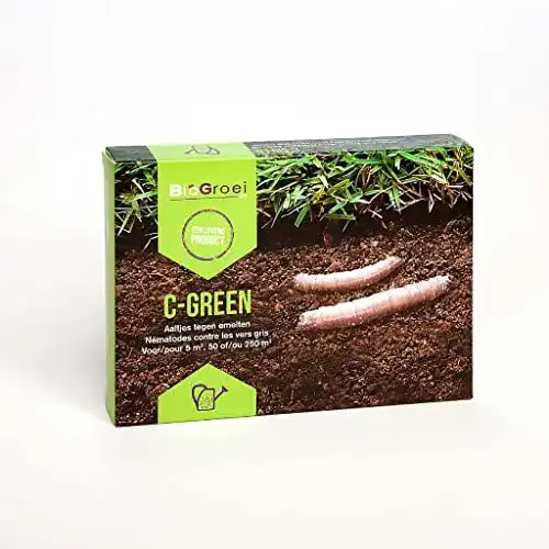 Nematoden Biogrowi C-Green 250 Millionen gegen Schnaken
