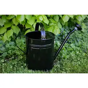 Gießkanne 10 Liter aus verzinktem Metall in Schwarz