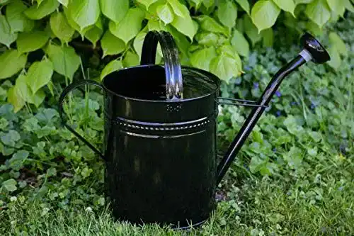 Gießkanne 10 Liter aus verzinktem Metall in Schwarz