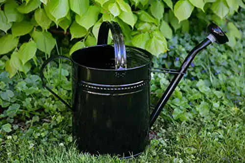 Gießkanne 10 Liter aus verzinktem Metall in Schwarz