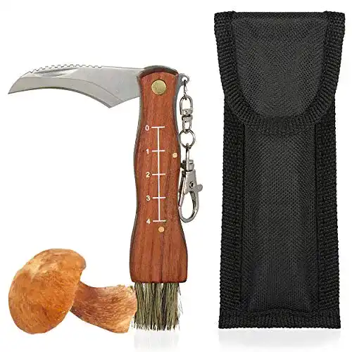 Pilzmesser Gercar mit Bürste und Tasche, klappbare Klinge aus Edelstahl