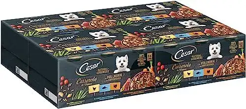 Cesar Natural Goodness Hundenassfutter für kleine Hunde