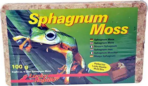 Sphagnum-Moos Ziegel von Lucky Reptile, 5 Liter Inhalt