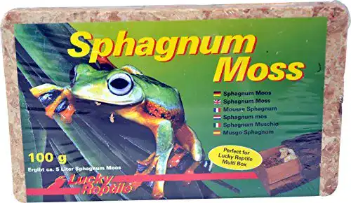 Sphagnum-Moos Ziegel von Lucky Reptile, 5 Liter Inhalt