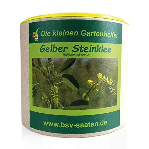 Kleesamen für Gelben Steinklee 250g Saatgut zur Bodenverbesserung