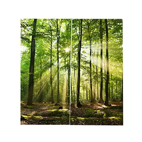 Fotogardinen Cafopgrill Ösenvorhang für Waldmotive