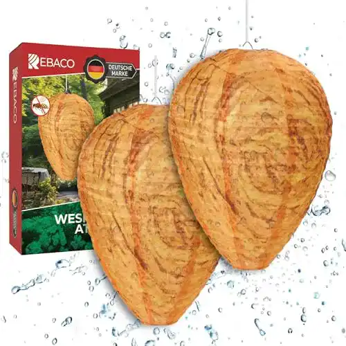 Wespennest-Attrappe Rebaco 2er Set zur Wespenabwehr