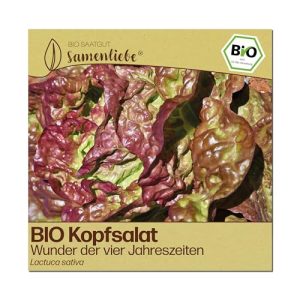 Bio Kopfsalat-Samen von Samenliebe – Alte Sorte zum Anpflanzen