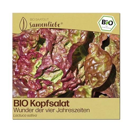 Bio Kopfsalat-Samen von Samenliebe – Alte Sorte zum Anpflanzen