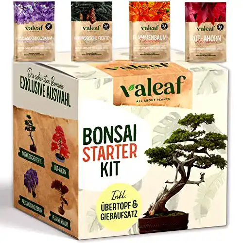 Bonsai Starter Kit für die Anzucht von Bonsai Bäumen