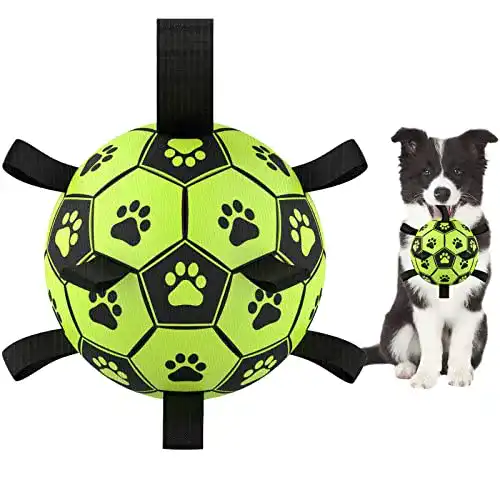 Hundeball Lotuswild 15cm Spielzeug für Hunde – Strapazierfähig und Wasserdicht