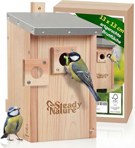 Nistkasten für Meisen von Steady Nature – Blaumeisen und Kohlmeisen