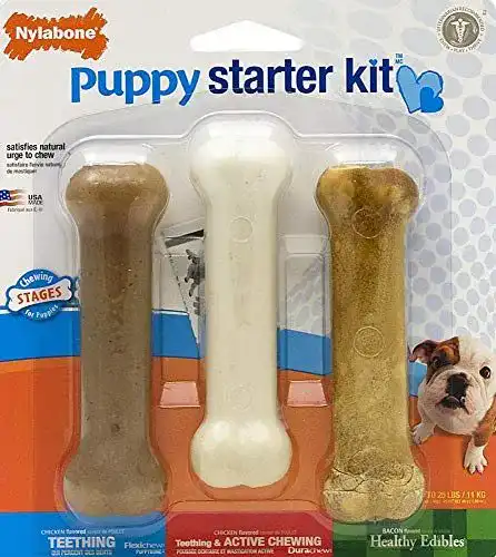 Welpenspielzeug Nylabone Kauspielzeug für Welpen Starter Kit, 3-teilig