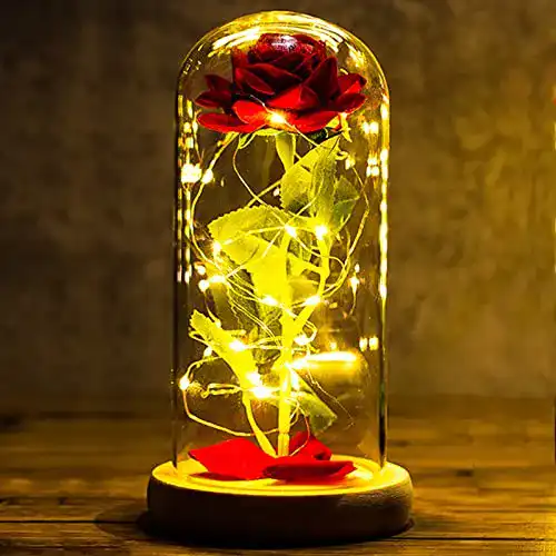 Ewige Rose im Glas mit LED-Licht für Frauen als Geschenk