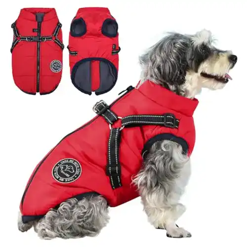 Wintermantel für Hunde von Savlot – Wasserdichte Winterjacke mit Geschirr