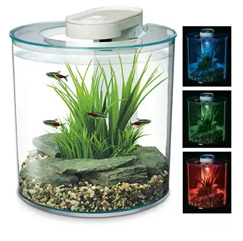 Rundes Aquarium Marina mit 360 Grad Sicht und LED-Beleuchtung