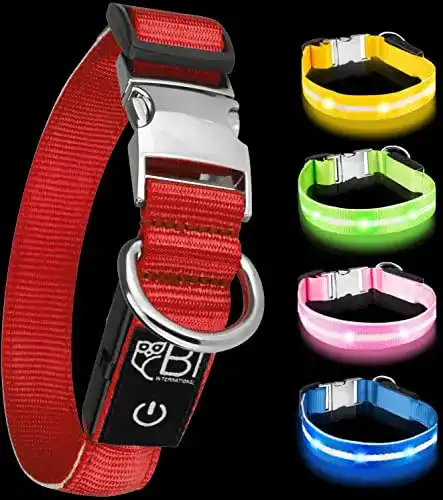 Leuchthalsband für Hunde mit LED-Beleuchtung und USB-Aufladung