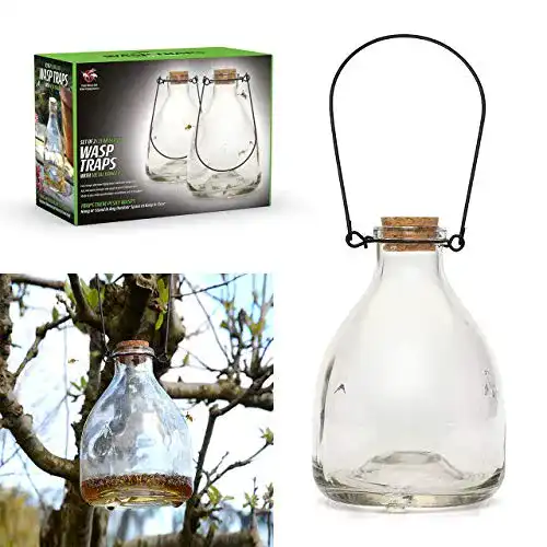 Wespenfalle CKB Ltd 2er Set Wasp Catcher Trap Glasfalle für Garten