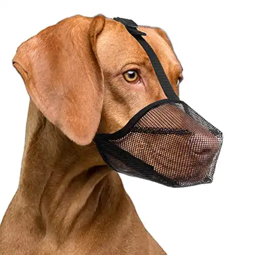Maulkorb für Hunde ILEPARK mit atmungsaktivem Mesh-Material