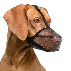 Giftköder-Maulkorb ILEPARK für Hunde Atmungsaktiv und Sicher