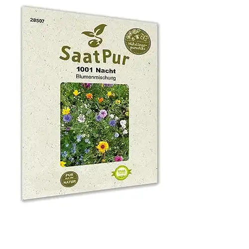 Blumenwiese Samen SaatPur 1001 Nacht für Bienen und Schmetterlinge