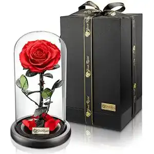 Ewige Rose Yourroses von Ziegler&Ribant – Echte Premium Rose im Glas
